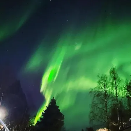 Aurora